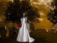 свадебные сценарии - вампирская свадьба